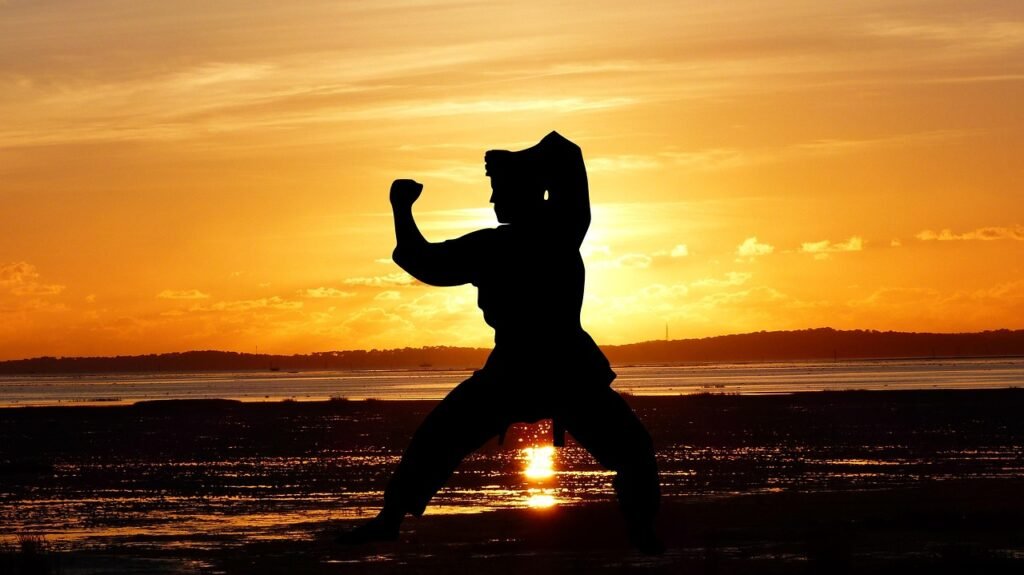 sunset, ocean, sea, karate, sport, martial art, clouds, colorful, colors, evening, nature, sun, reflection, beautiful