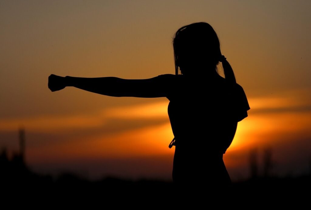 karate, nature, sunset, fight, sports, silhouette, resistance, samurai, fit, girl, self-defense, defense, fist, brown sunset, brown sports